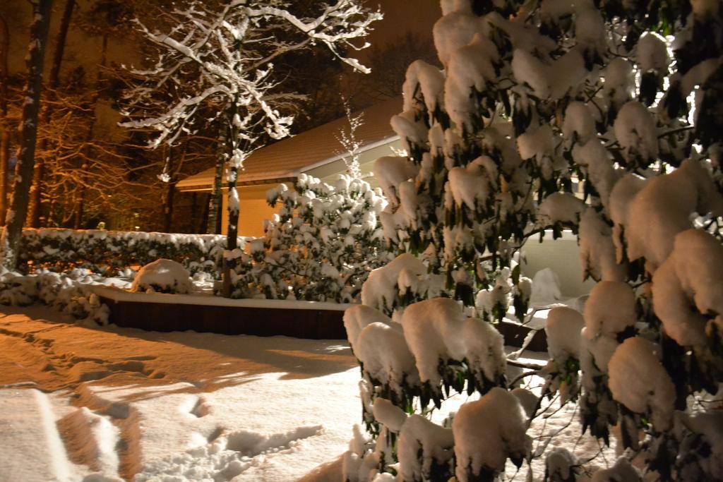 B&B Wepa-Hof Oud-Turnhout Екстер'єр фото